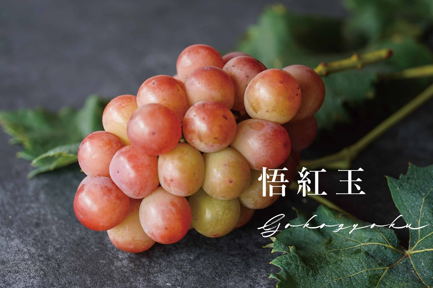 【2025予約】ぶどう4種食べ比べセット